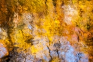Abstract;Abstractions;Autumn;Brook;Couchville-Cedar-Glade-State-Natural-Area;Cre